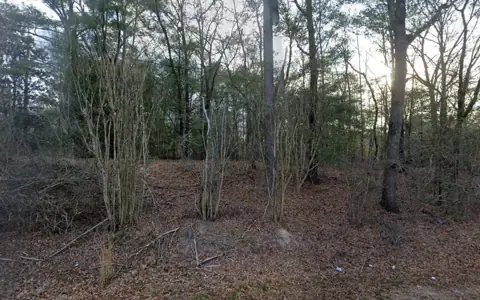 Hannah's RV Rentals photo 2