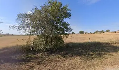 san antonio rvs in Yoakum, TX